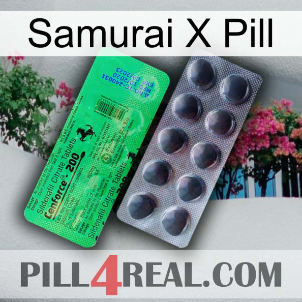 Samurai X Pill new04.jpg